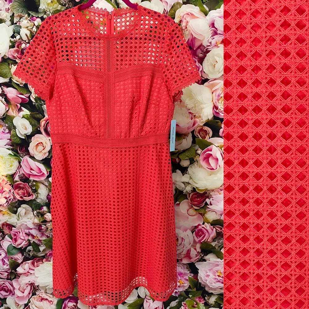 Antonio Melani Coral Lace Dress Size 12
